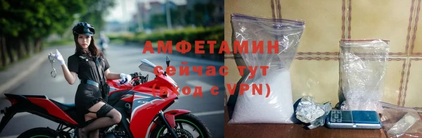 PSILOCYBIN Беломорск