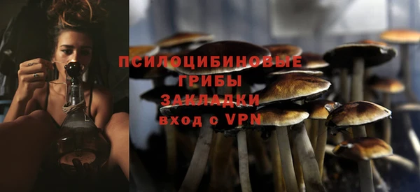 PSILOCYBIN Беломорск