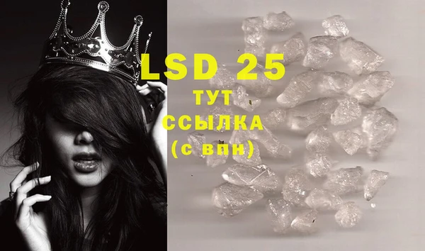 PSILOCYBIN Беломорск