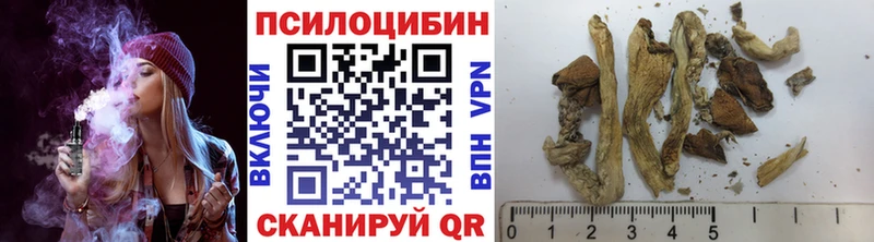 Галлюциногенные грибы MAGIC MUSHROOMS Кузнецк